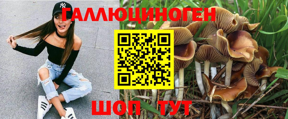 Галлюциногенные грибы Psilocybine cubensis Когалым
