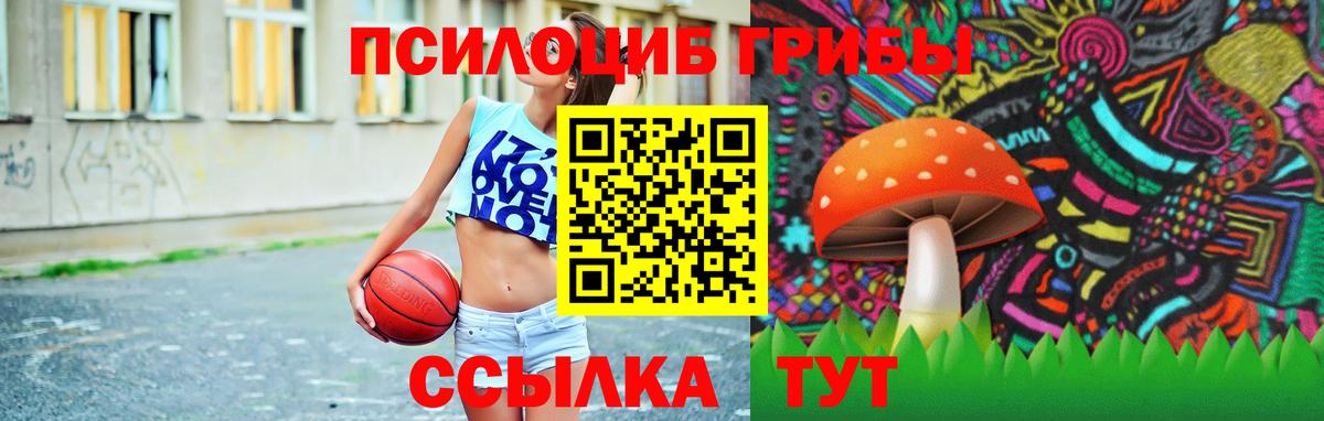 Когалым  Галлюциногенные грибы мухоморы  Вход с VPN  Галлюциногенные грибы мухоморы 