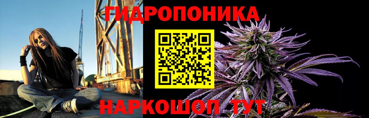 МАРИХУАНА план Когалым